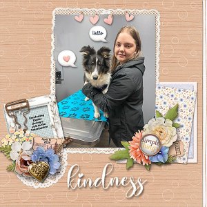 Comforting our dog During a Veterinarian Visit