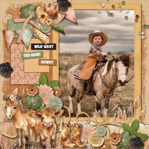 DLPatt_WildWestYee-HawHowdy_web.jpg