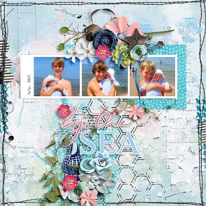Memories of the Shell