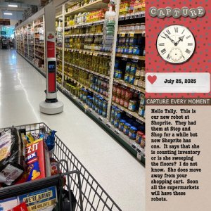 2025-07-25-shoprite-tally.jpg
