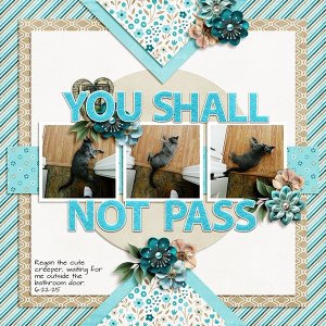 You Shall Not Pass