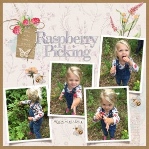 Raspberry Picking