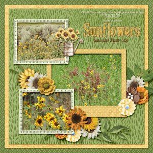 SUNFLOWERS small.jpg
