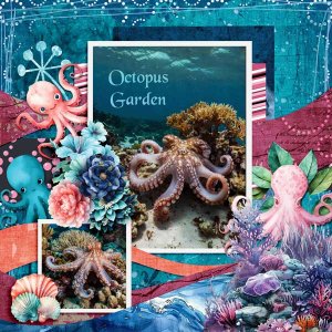 octopus-garden-brit-chick-A.jpg