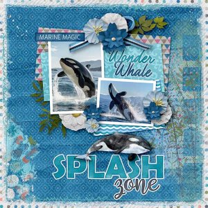 wonder-whale-aimee-harrison.jpg