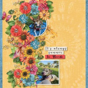 GS-ScrapliftCh-Aug25.jpg