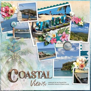 03-16-23-MFish_CoastalCollage_04-copy.jpg