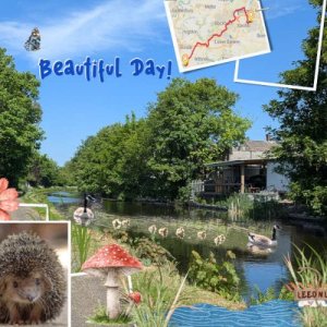 Beautiful Day!.jpg