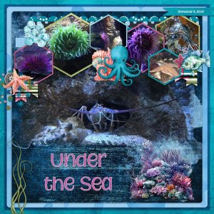 Under the Sea