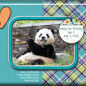 ATC-2025-076-Happy-4th-Birthday,-Bao-Li.jpg