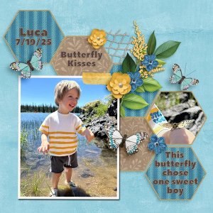 Butterfly Landed