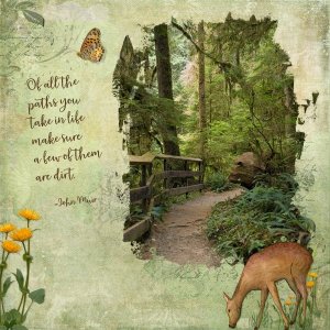 John-Muir-Quote