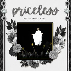 Priceless small.jpg