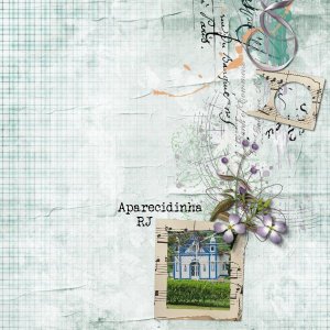 Aparecidinha