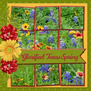 Glorified Texas Spring