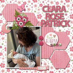 08-Aug-25-Template-Challenge-#1-Scrapbook-Crazy.jpg