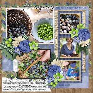 Foraging Persimmon & Spicebush Berries