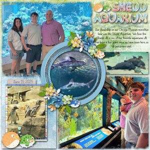 2025 August Designer Spotlight Challenge with Carol W Designs
