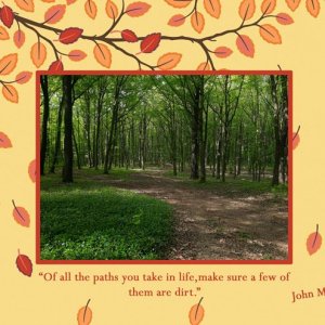 A-Few-Dirt-Paths