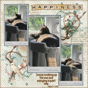 August 2025 Designer Spotlight Challenge.jpg