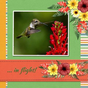 ... in flight!