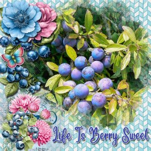 Life is Berry Sweet