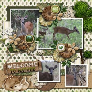 DLPatt_WelcomeToNature_web.jpg
