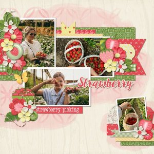 Strawberry picking