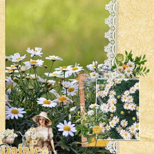 Summer fun daisies.jpg