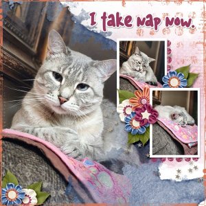I-Take-Nap-Now.jpg