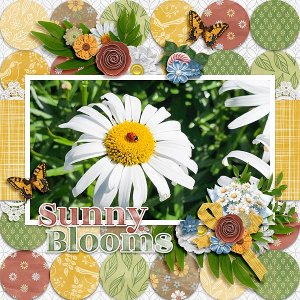 Sunny Blooms