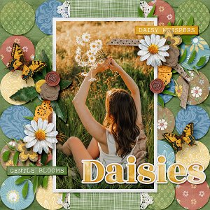 Daisies