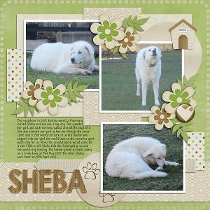 Sheba