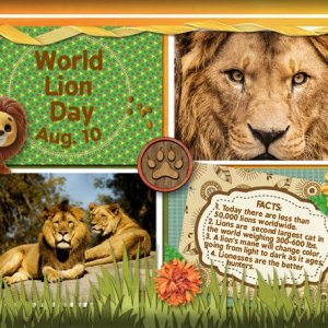 ATC-2025-082-World-Lion-Day