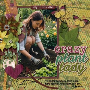 DLPatt_CrazyPlantLady_web.jpg