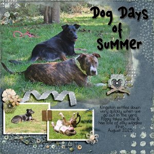 Dog-Days.jpg