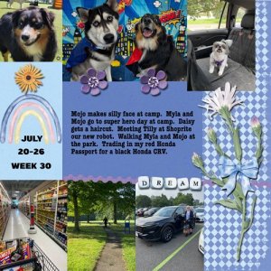 2025-week30.jpg