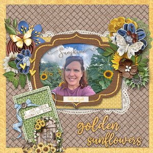 Sunflower Fields