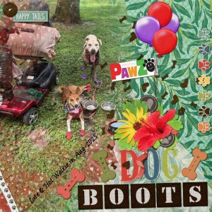 GS-P365-02-BalloonBoots-Aug25.jpg