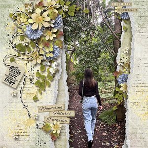 Wandering-Nature's-Pathways-copy.web.jpg