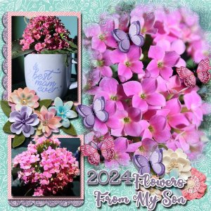 Flowers from My Son