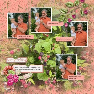 Berry Picking.jpg