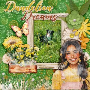 Dandelion-dreams.jpg