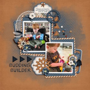 Budding-Builder-small.jpg