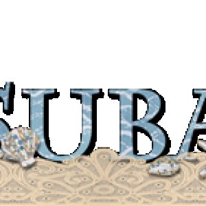 2025 August Signature.png