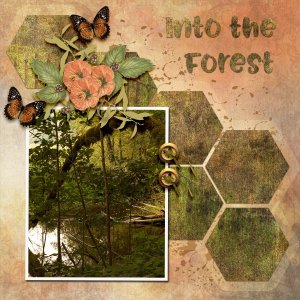 Into-the-Forest