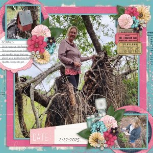 The Big Picture Templates 42 Temp #3 with Sense of Self-Connie Prince.jpg
