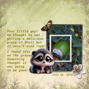 Document Your Life 8x8 72.jpg