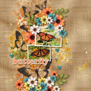 Butterfly
