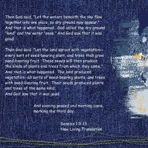 Scripture Genesis 1 9 to 13 .jpg